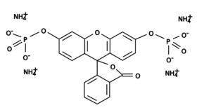 FDP [Fluorescein diphosphate, tetraammonium salt]
