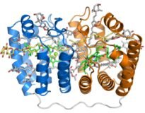 PerCP [Peridinin-Chlorophyll-Protein Complex]   