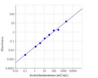 Amplite® Colorimetric Acetylcholinesterase Assay Kit