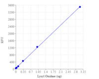 Amplite® Fluorimetric Lysyl Oxidase Assay Kit *Red Fluorescence*