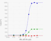 PhosphoWorks™ Fluorimetric Pyrophosphate Assay Kit *Blue Fluorescence*