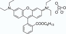 Rhodamine B, hexyl ester, perchlorate