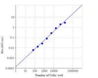 Cell Meter™ Colorimetric WST-8 Cell Quantification Kit