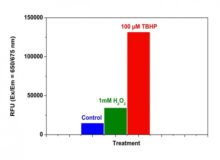 Cell Meter™ Fluorimetric Intracellular Total ROS Activity Assay Kit*Deep Red Fluorescence*