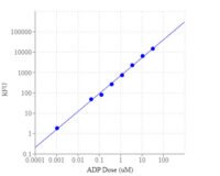 Amplite® Universal Fluorimetric Kinase Assay Kit *Red Fluorescence*