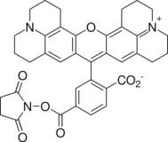 6-ROX, SE [6-Carboxy-X-rhodamine, succinimidyl ester]