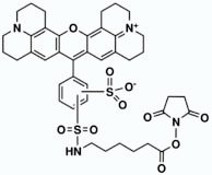 Texas Red-X, succinimidyl ester *Mixed isomers*   