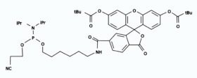 6-FAM phosphoramidite [5′-Fluorescein phosphoramidite]