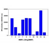 Amplite® Universal Fluorimetric MMP Activity Assay Kit *Green Fluorescence*