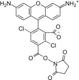 5-dR110, succinimidyl ester  