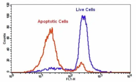 Cell Meter™ Intracellular GSH Assay Kit *Optimized for Flow Cytometry*