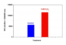 Cell Meter™ Fluorimetric Intracellular Total ROS Activity Assay Kit *Red Fluorescence*