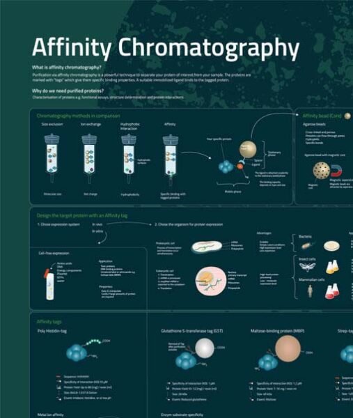 Poster Cromatografia